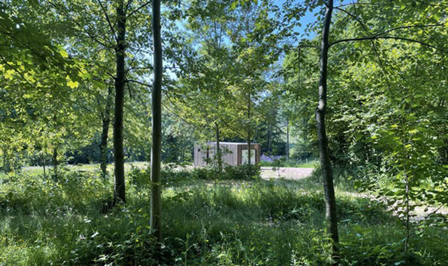 Time-Out-Cabin aan bos